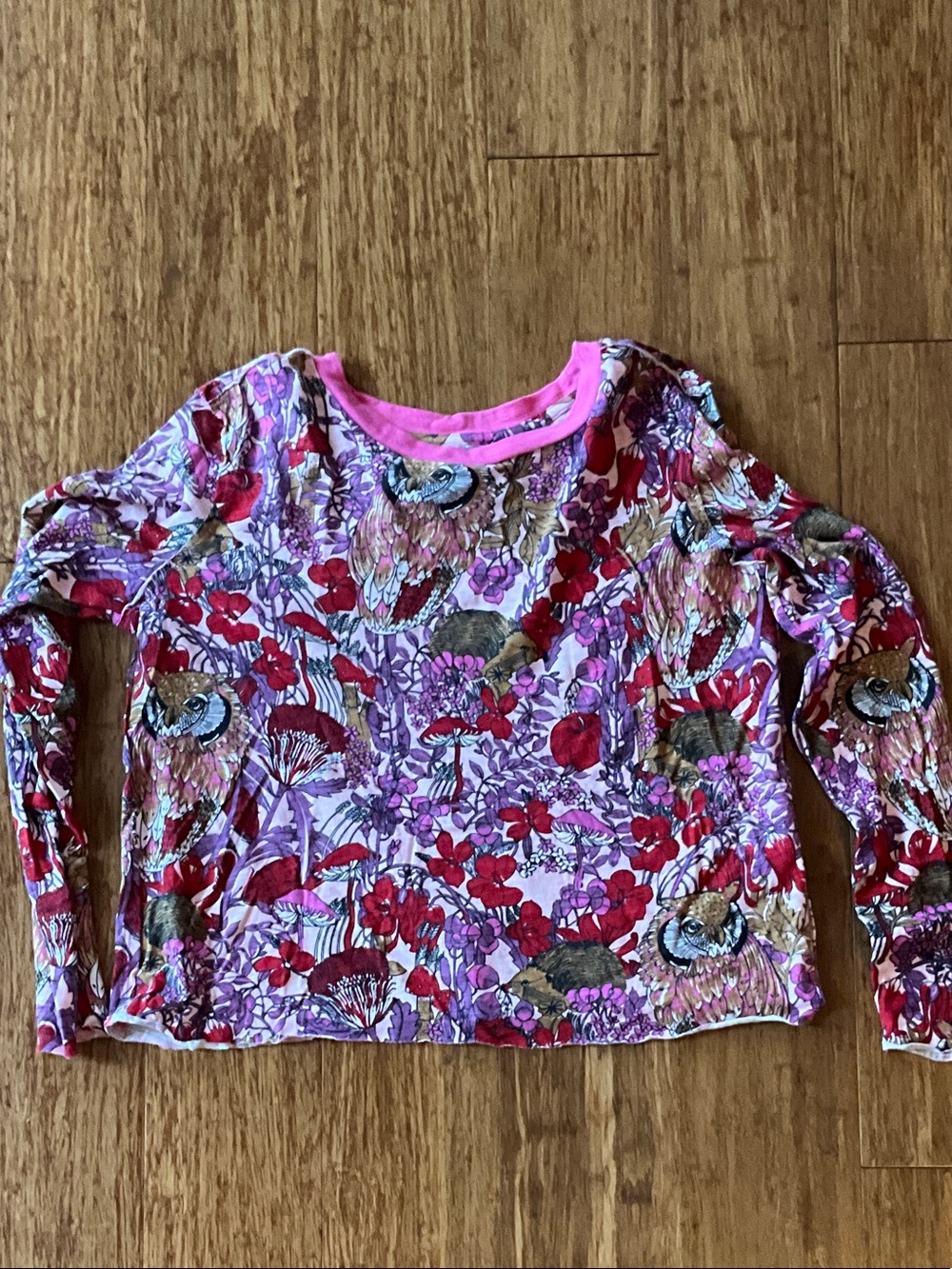 Anthropologie Pink and Red Floral Long-Sleeve Tee